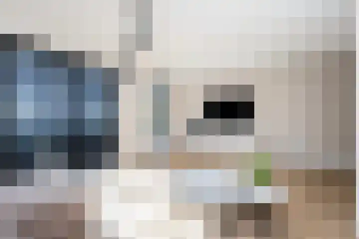 Verfmolen 4 Zwolle thumbnail 8