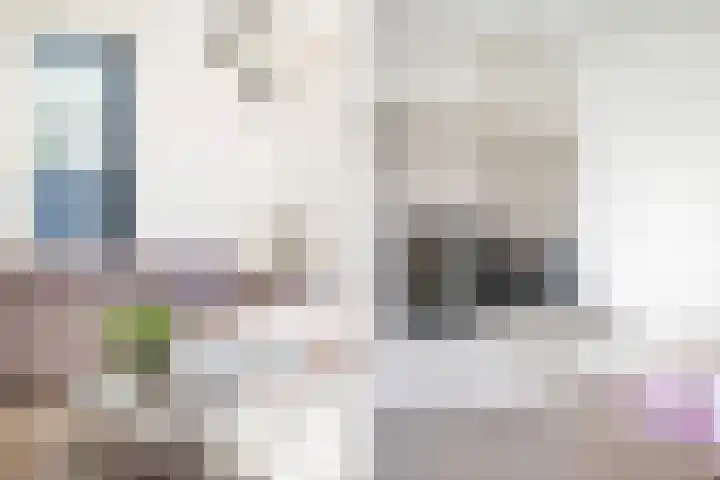 Verfmolen 4 Zwolle thumbnail 9