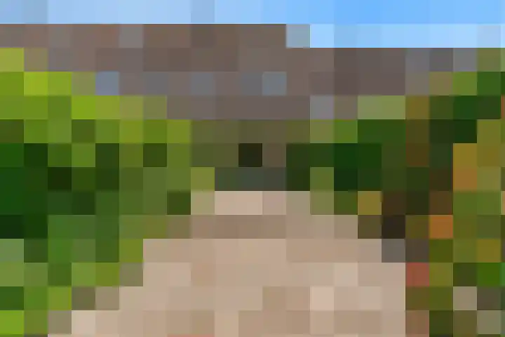 Verfmolen 64 Hoorn thumbnail 24