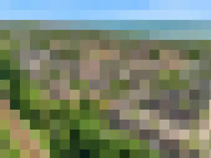 Verfmolen 64 Hoorn thumbnail 4