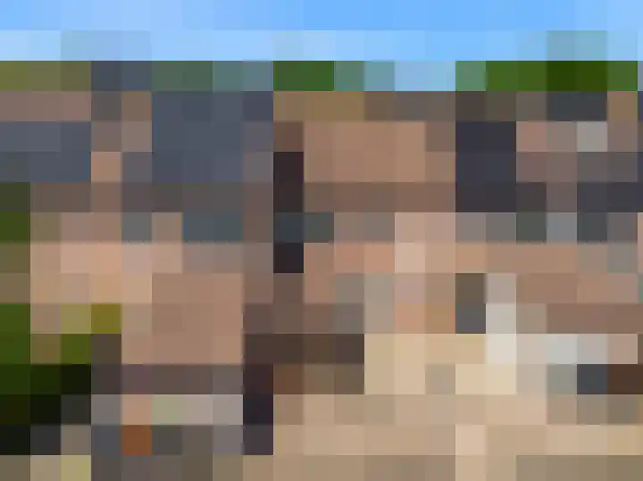 Verfmolen 64 Hoorn thumbnail 5
