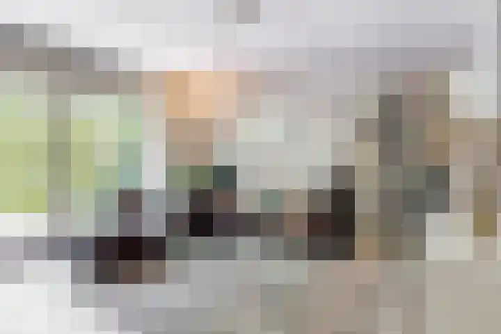 Verfmolen 64 Hoorn thumbnail 7