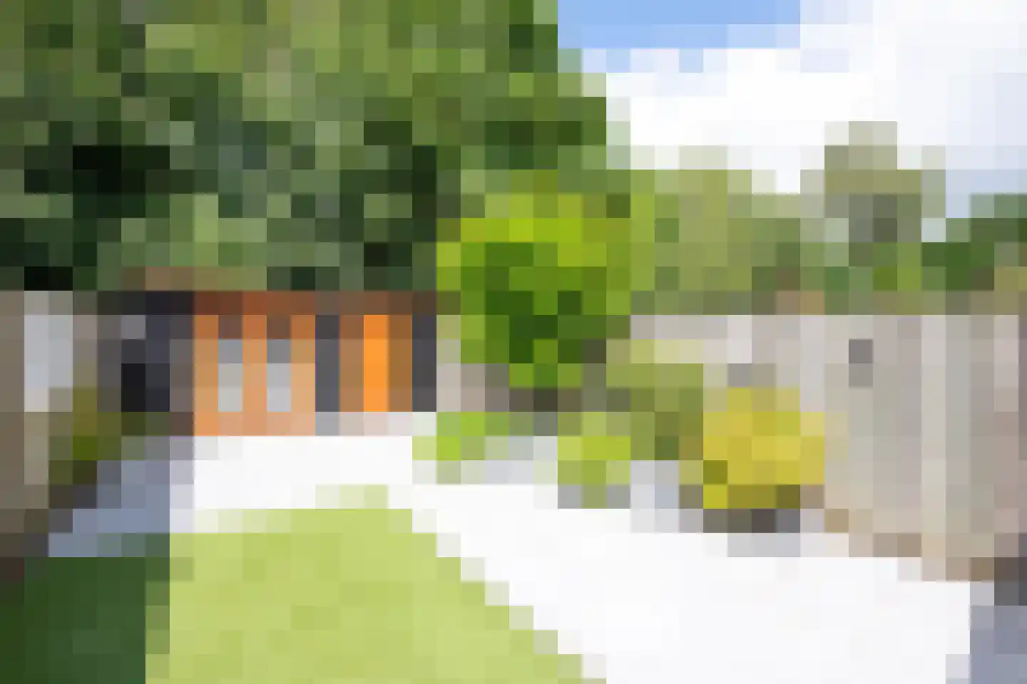 Verfmolen 67 Hoorn thumbnail 37