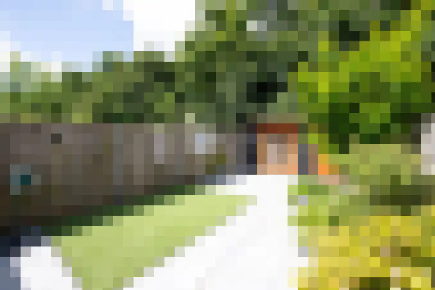 Verfmolen 67 Hoorn thumbnail 38