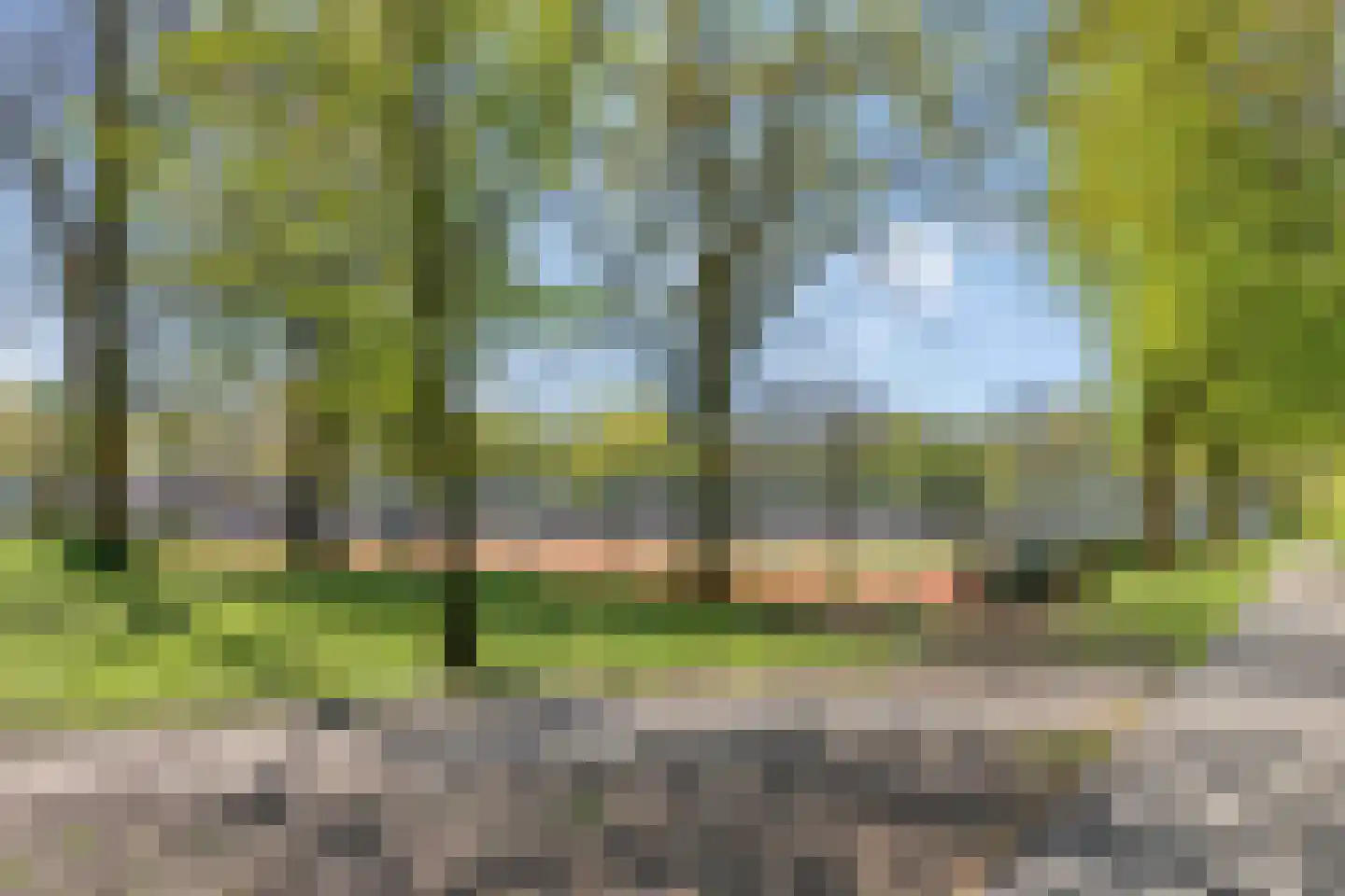 Verfmolen 78 Hoorn thumbnail 31
