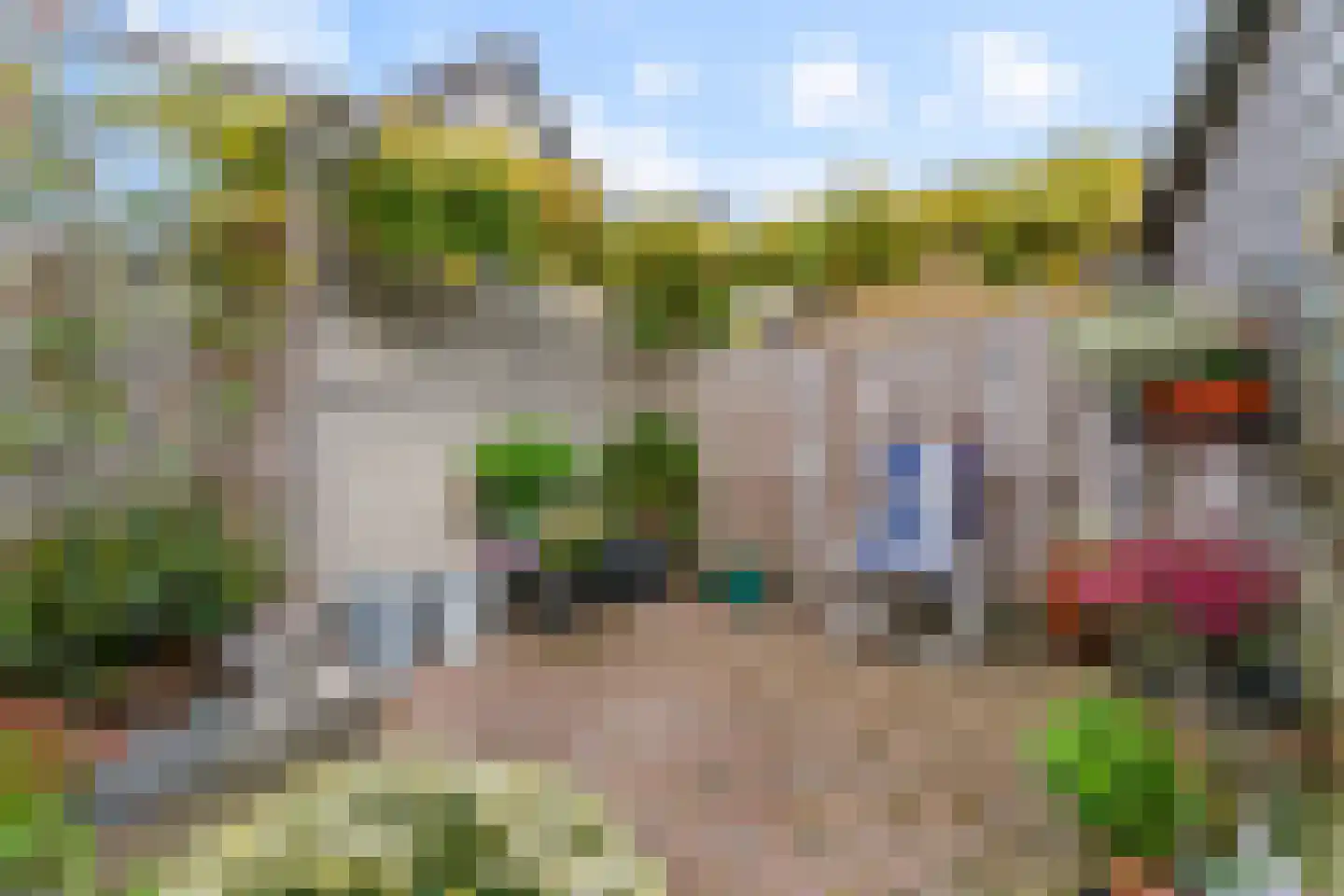 Verfmolen 8 Maassluis thumbnail 34