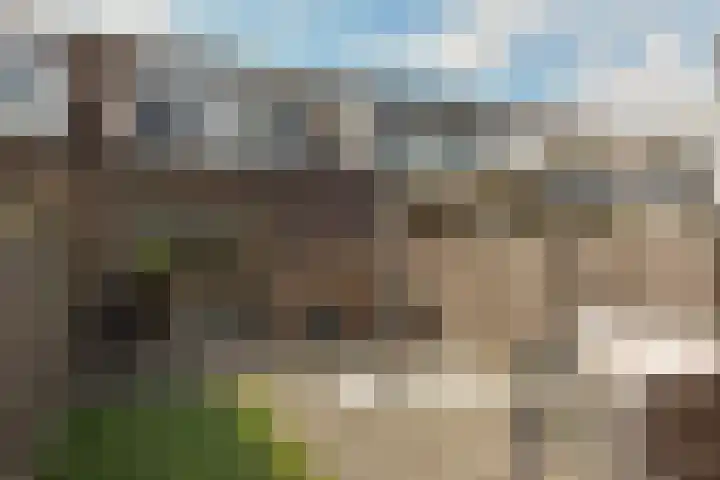 Verfmolen 9 Mijdrecht thumbnail 4