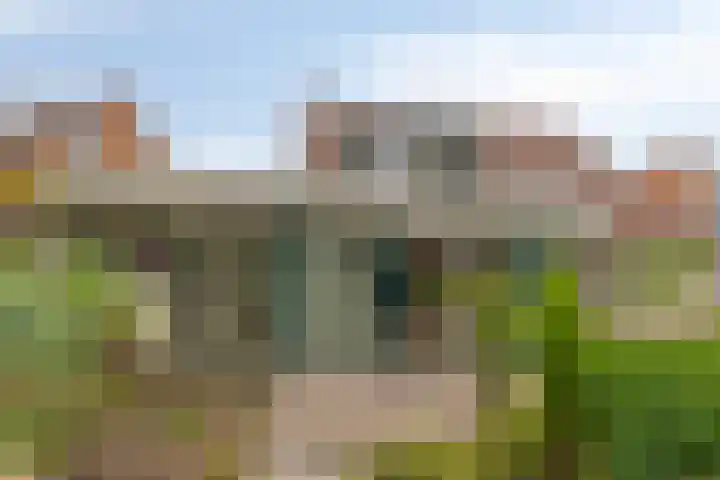 Verfmolen 96 Hoorn thumbnail 27