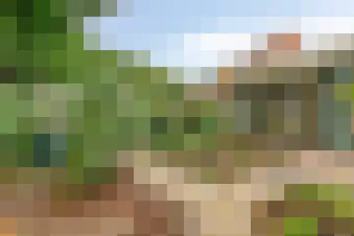 Verfmolen 96 Hoorn thumbnail 28