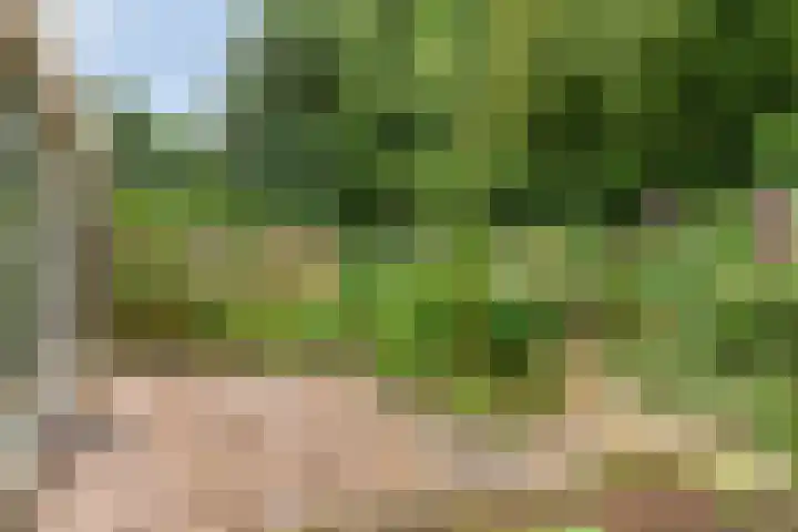 Verfmolen 96 Hoorn thumbnail 31