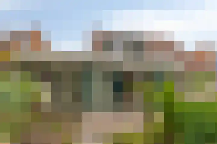 Verfmolen 96 Hoorn thumbnail 5