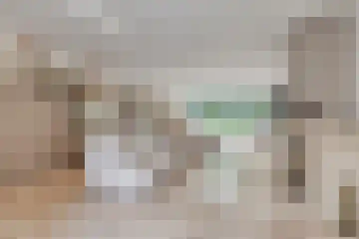 Verfmolen 96 Hoorn thumbnail 8