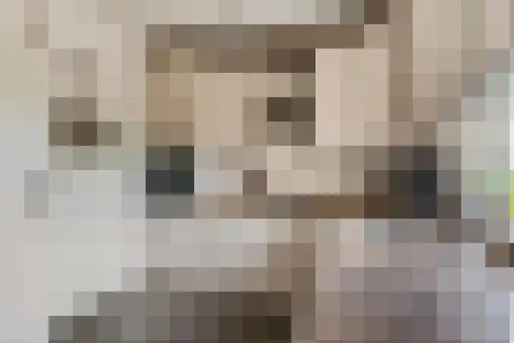 Vergardeweg 4 b Wadenoijen thumbnail 11