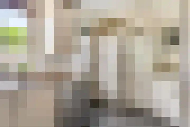 Vergardeweg 4 b Wadenoijen thumbnail 12