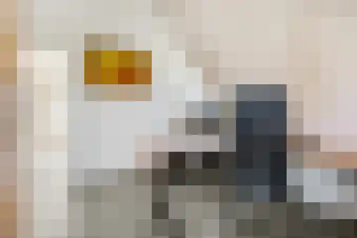 Vergardeweg 4 b Wadenoijen thumbnail 17