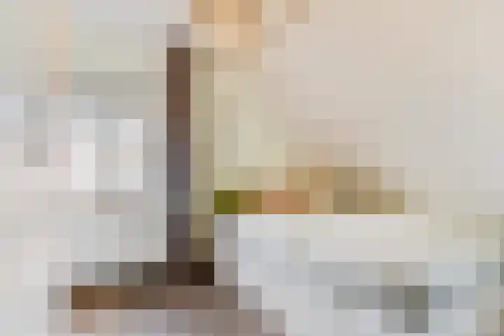 Vergardeweg 4 b Wadenoijen thumbnail 18