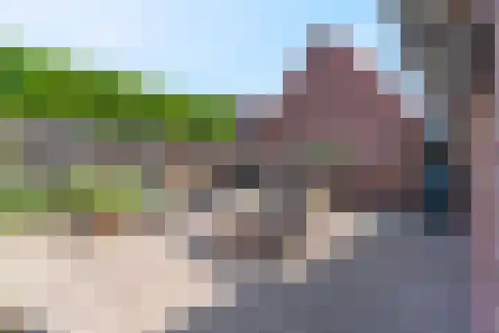 Vergardeweg 4 b Wadenoijen thumbnail 26
