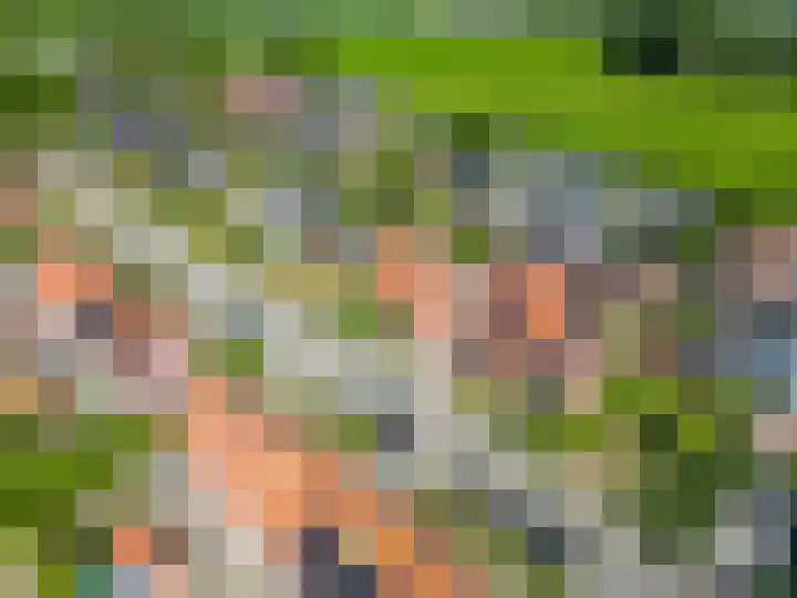 Vergardeweg 4 b Wadenoijen thumbnail 30