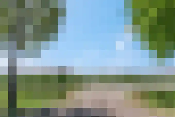 Vergardeweg 4 b Wadenoijen thumbnail 36