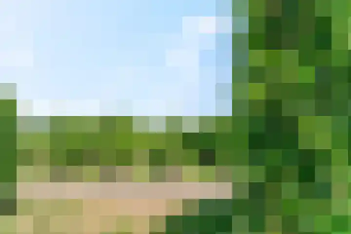 Vergardeweg 4 b Wadenoijen thumbnail 37