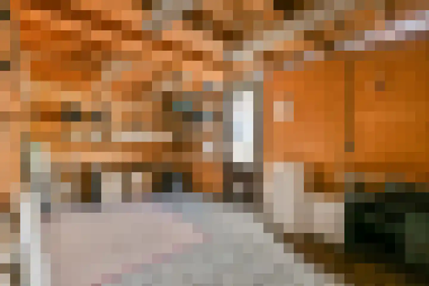Vergeet-mij-nietjestraat 11 Almere thumbnail 22