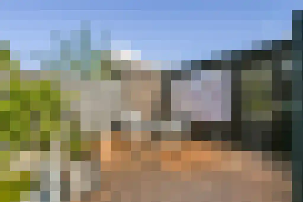 Vergeet-mij-nietjestraat 11 Almere thumbnail 5