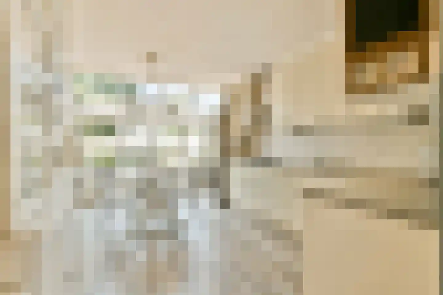 Vergeet-mij-nietjestraat 11 Almere thumbnail 8