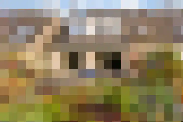Vergeet-mij-nietjestraat 32 Almere thumbnail 4