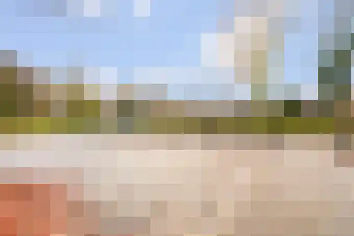 Vergeet-mij-nietjestraat 32 Almere thumbnail 62