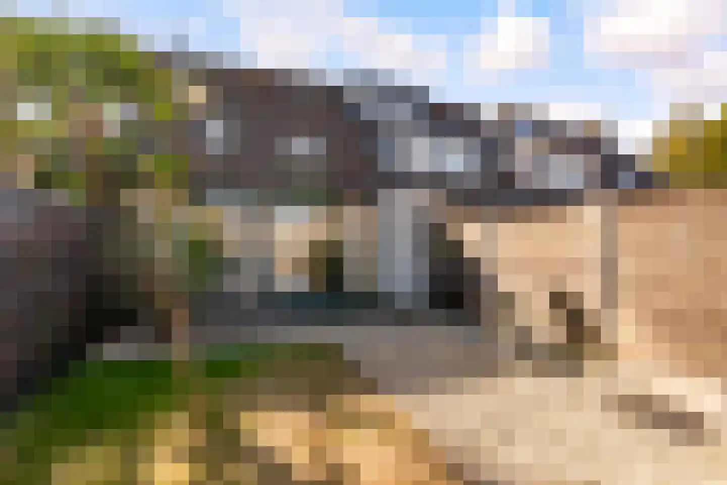 Vergeet-mij-nietjestraat 9 Almere thumbnail 40