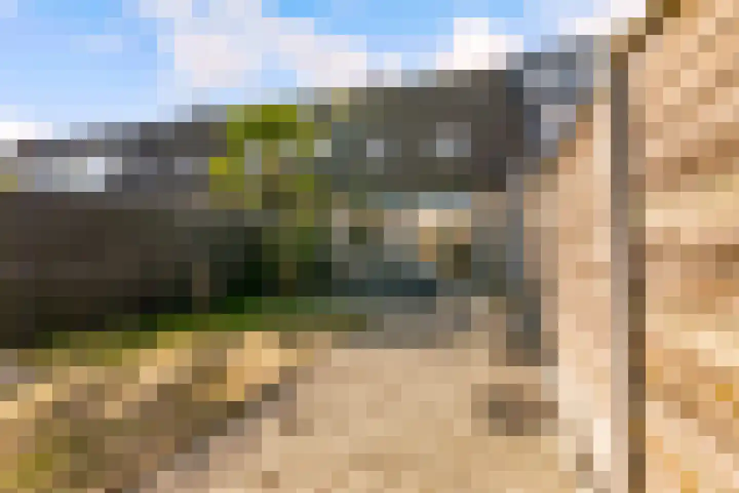 Vergeet-mij-nietjestraat 9 Almere thumbnail 41