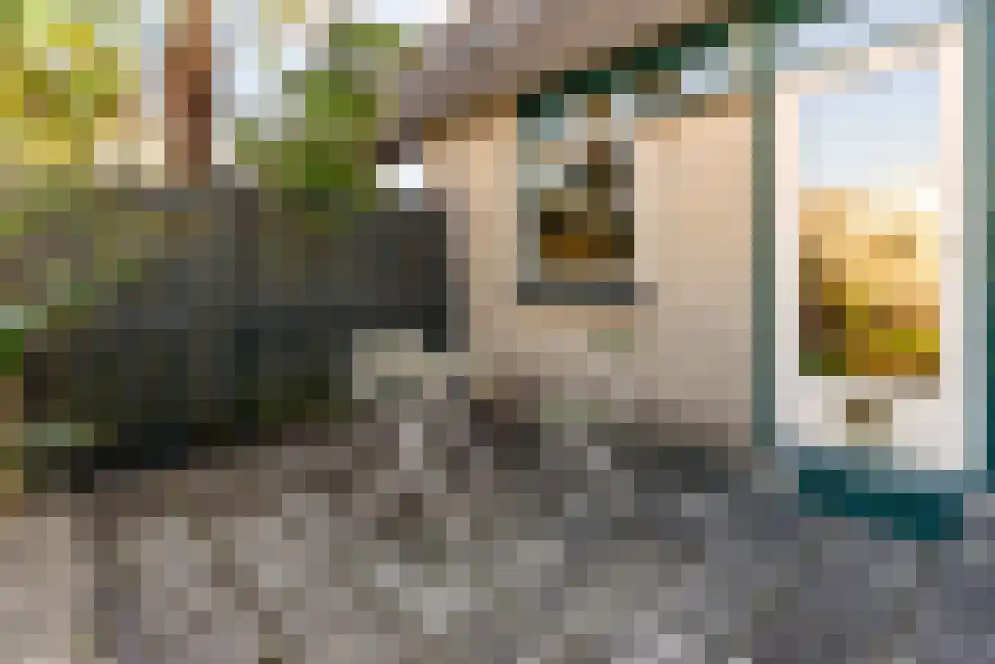 Vergeet-mij-nietjestraat 9 Almere thumbnail 42