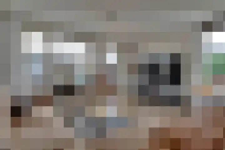 Verger der Kampstraat 51 Velden thumbnail 11