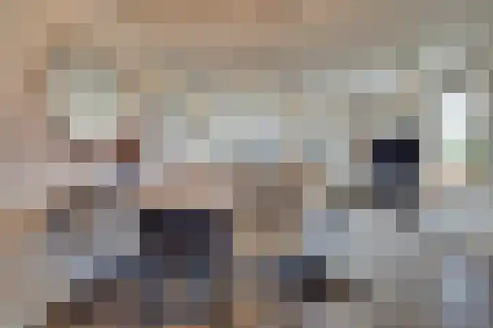 Verger der Kampstraat 51 Velden thumbnail 13