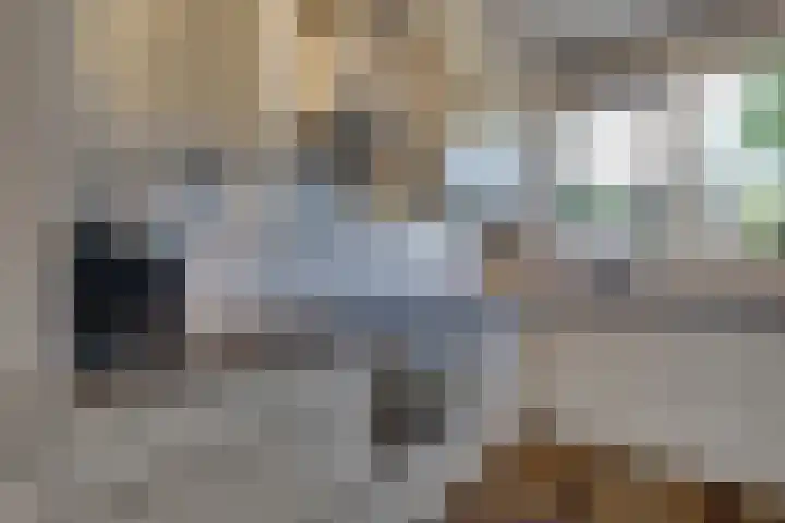 Verger der Kampstraat 51 Velden thumbnail 15
