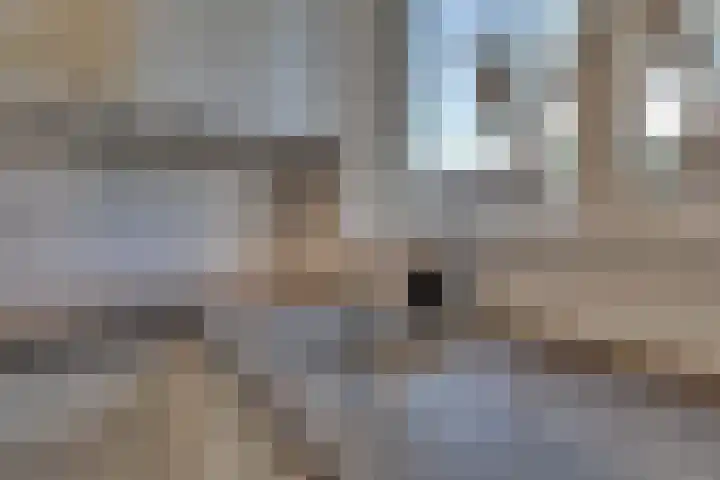 Verger der Kampstraat 51 Velden thumbnail 18