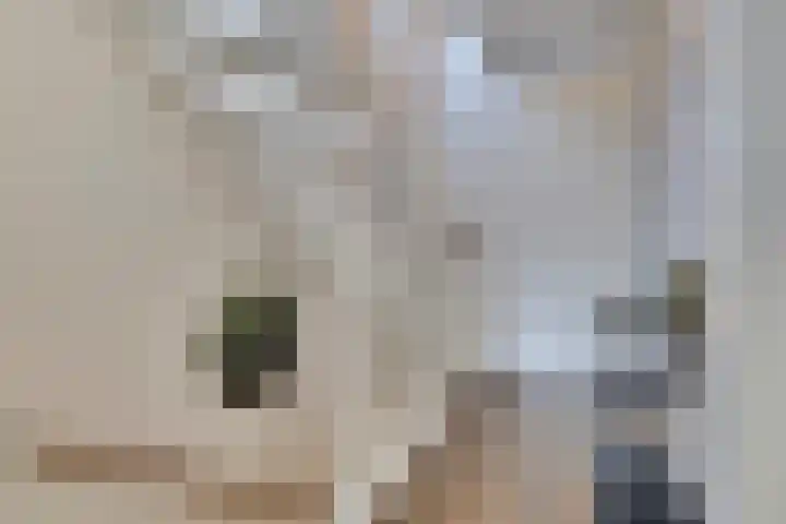 Verger der Kampstraat 51 Velden thumbnail 20