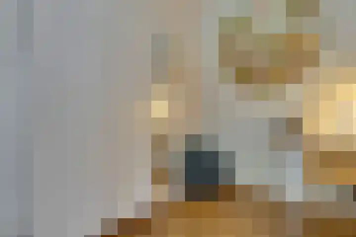Verger der Kampstraat 51 Velden thumbnail 21