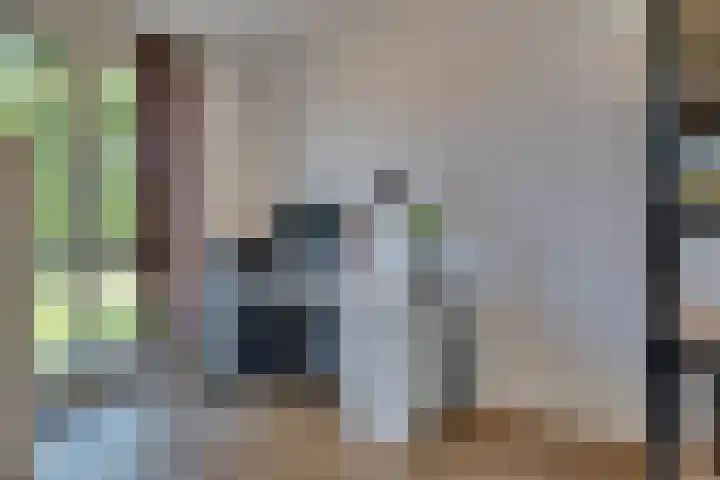 Verger der Kampstraat 51 Velden thumbnail 26