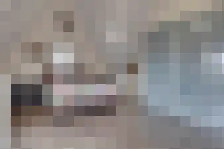 Verger der Kampstraat 51 Velden thumbnail 32