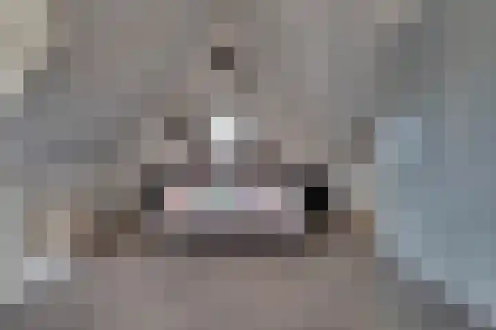 Verger der Kampstraat 51 Velden thumbnail 33