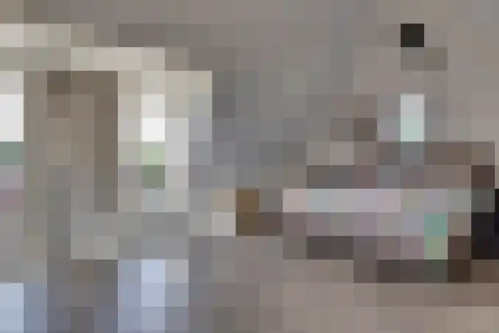 Verger der Kampstraat 51 Velden thumbnail 34