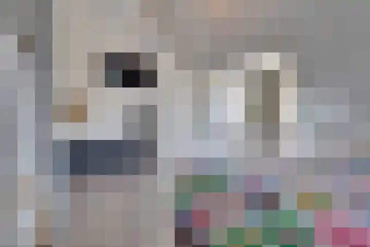 Verger der Kampstraat 51 Velden thumbnail 35