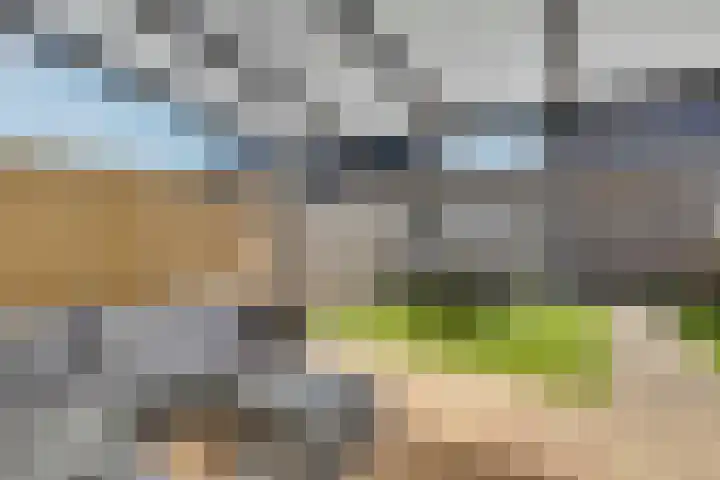 Verger der Kampstraat 51 Velden thumbnail 36