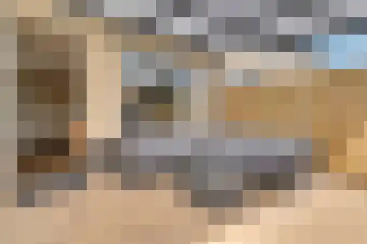 Verger der Kampstraat 51 Velden thumbnail 37