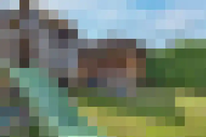 Verger der Kampstraat 51 Velden thumbnail 39