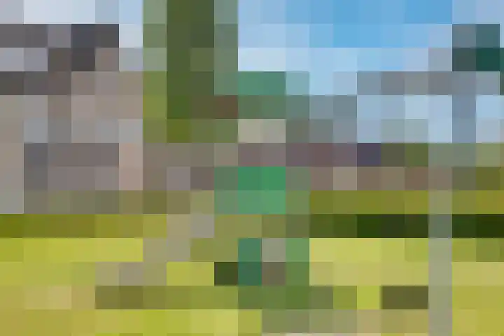 Verger der Kampstraat 51 Velden thumbnail 42