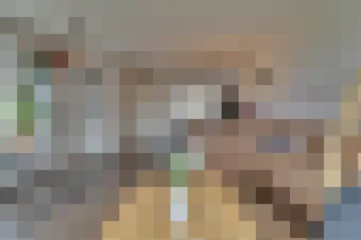 Verger der Kampstraat 51 Velden thumbnail 9