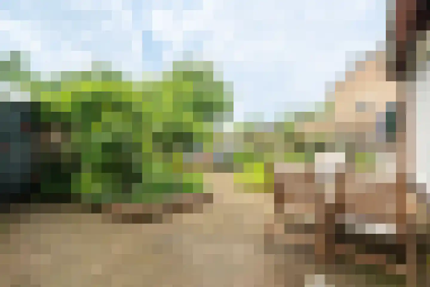Vergersweg 28 Wageningen thumbnail 26