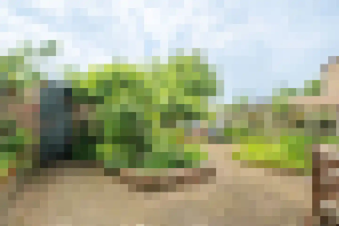 Vergersweg 28 Wageningen thumbnail 27